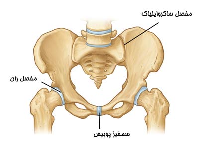 شبکه خاجی (ساکرال)