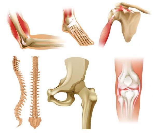 چگونه یک جلسه ارزیابی عضلانی اسکلتی در فیزیوتراپی سحر در رشت پیش می‌رود؟
